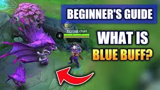BEGINNER'S GUIDE WHAT IS BLUE BUFF