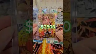 CRAZY 10 Case Break One Piece Gol D Roger Gold Manga and more! #anime #onepiece