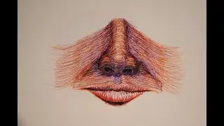 Expressive Nose Drawing with Felt Pens | Line Contour Technique