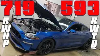2018 Mustang GT Gen 5 Whipple Auto (смесь BOOSTane 100 октановое число) Kooks Dyno 12,5 фунтов на квадратный дюйм 719 л.с. на задних колесах 590 л.с. на задних колесах