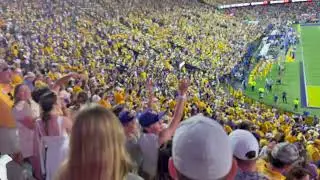 LSU Neck