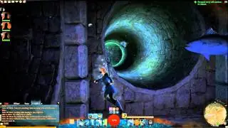 Guild Wars 2: Armor Fish