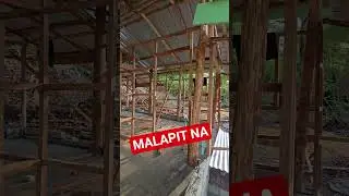 BAHAY NG NAKATIRA SA TRAPAL #trending #shorts