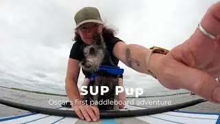 Paddle - SUP Pup