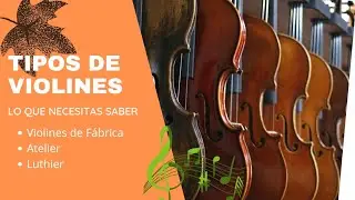 TIPOS DE VIOLINES. Resumen de lo que necesitas saber.
