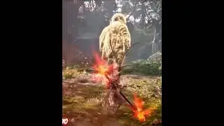 Black Myth Wukong boss fight #4kps5 #ps5gameplay #spiderman #ps5gameplay