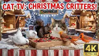 Christmas Market Cat TV 🎄 Festive Stall with Cardinals & Lantern - 8 Hours 4K