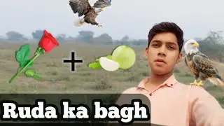 Pakistan, Chahar Bagh RUDA Lahore, RUDA#chaharbagh #greenfutureproperties #LahoreRealEstate #RUDA 