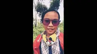 KABUN TEH ASLI WONOSARI👍PART 1