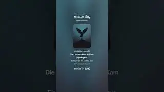 Schattenflug #music #new #musik #song #viral #viralvideo #huBocMusic #charts #Rock #Metal #Goth