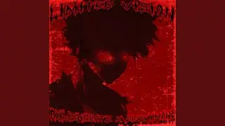 LIMITED VISION