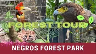 Negros Forest Park Walkthrough | Explore Negros | Best of Negros