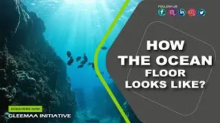 HOW THE OCEAN FLOOR LOOKS LIKE ?? // Project - 005