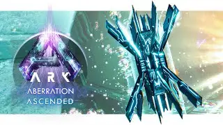 Aberration Artifacts Location Guide