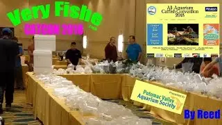 CatCon - Catfish Conventions 2018