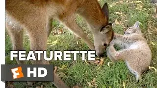 Seasons Featurette - Immersed in Nature (2016) - Documentary