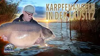 Karpfenangeln in der Lausitz