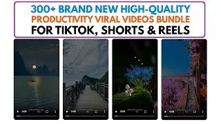 Brand New 300+ High-Quality Productivity Viral Videos Bundle With Unrestricted PLR Review Demo Bonus