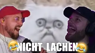 Nicht lachen Challenge mit  @derCyberpunk   😂