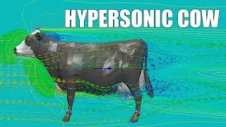 Hypersonic Cow Aerodynamics #shorts
