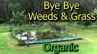 Preventing & Getting Rid of Weeds/Grasses in Vegetable Garden Beds