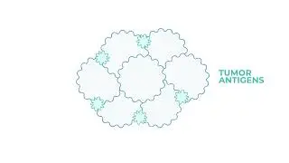 Strengths of Immunotherapy: Durability and Adaptability