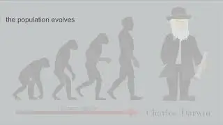 Biography of Charles Darwin, Struggle For Existence, The Survival of The Fittest