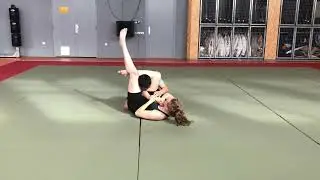 4. Triangle Choke (c)