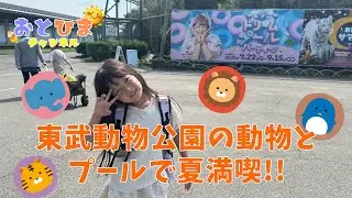 	•	「【珍百景】日焼けで手が痛くて動物見れず!? 東武動物公園×しなこ🐘」