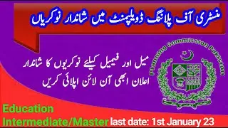 ministry of planning jobs, ministry of planning development jobs, jobs in ministry of planning