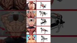 full back home workout plan 💪#workout #shoulder #chest #sixpack #back #legs #triceps