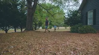 The backyard activities