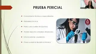 Análisis de los medios probatorios en el proceso judicial - Electiva II.