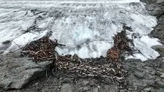 Ancient Reindeer Trap Unearthed in Norway's Melting Ice
