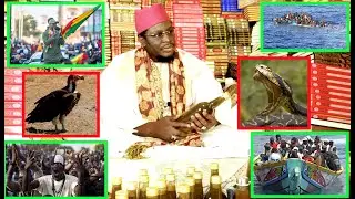 🛑URGENT: SANGATOU KARANGUÉ AK OUBEKAY SI BEPP PROBLEME sheikh ibrahima ndiaye