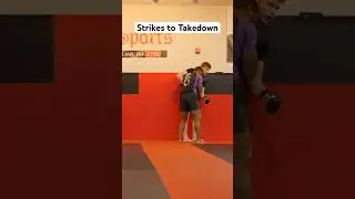 Using Strikes to setup takedowns #mma #fighttechniques #combattechniques #wrestling