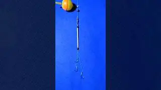 Tutorial Cara Membuat Rangkaian Pancing Nila Umpan Lumut #shorts #mancing