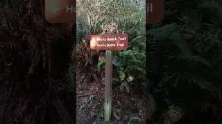Harris beach state park trail  mushroom wonderland