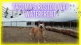 Interesting Morning on Tacoma's Ruston Way Waterfront  ~ Virtual Dog Walk with Relaxing Music