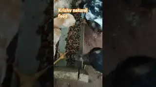 Krishv farm pnkd .6303904241#orga