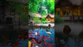Beautiful nature status | Peaceful  whatsapp status #youtube #shorts #youtubeshorts #softpeace