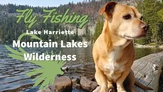 Fly Fishing Lake Harriette in Mountain Lakes Wilderness