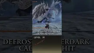 Defrosting Everdark Caligo No Hit #nightreign #nightreigngameplay #eldenring