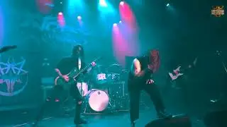 Ingested - 