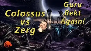 StarCraft 2: Void Rays & Colossus Play Style vs Zerg?!