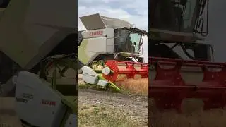 Claas Trion 730 TT збирання гороху