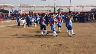 Scout guide colour party