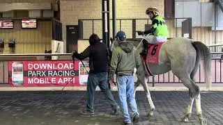 Ty Ran a Homer wins with apprentice jockey Andy Hernandez at Parx Racing