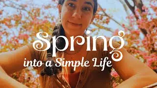 Homemaker | Spring Homestead in USA | Simple Joys & Blessings