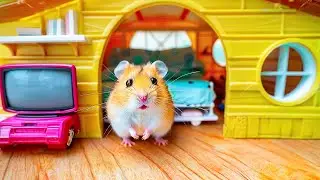 Escape Adventure 🔐 Hamster in the Pop It Prison Maze 🐹 Hamster Maze